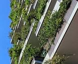 zielone balkony