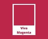 viva magenta - kolor roku 2023