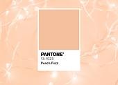 Peach Fuzz — kolor Pantone na rok 2024