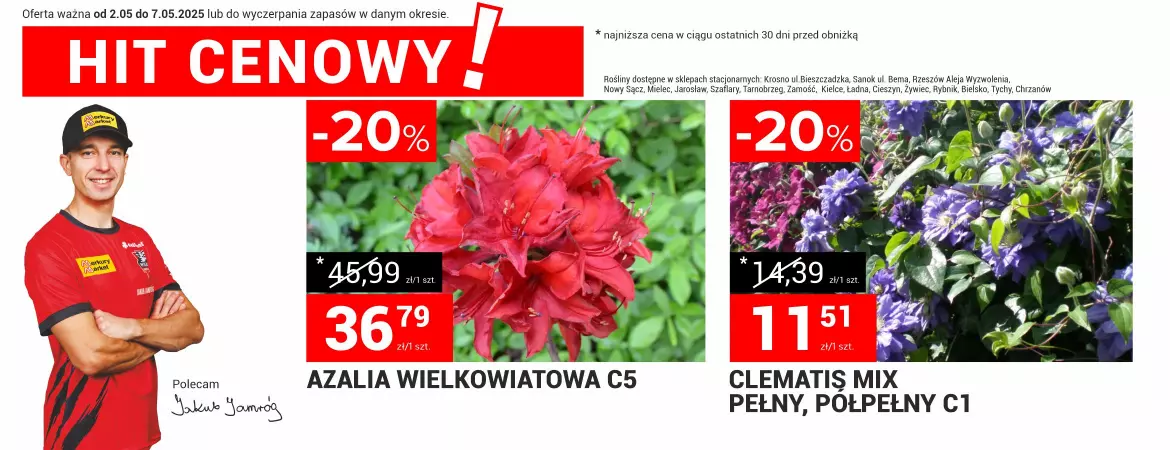 Promocje ogród