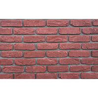 Kamień Betonowy Brick Classic Red