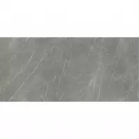 Slab Eternal Dark Natural 120/260