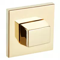 Szyld R67F WC złoty pvd