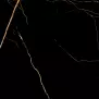 Gres Black Gold High Glossy Rekt. 60/60