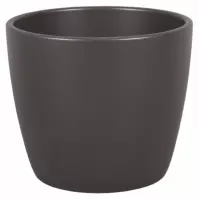 Osłonka ceramiczna Guzmania