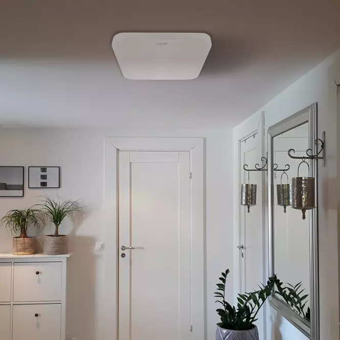 Plafon Urania LED D 24W 4000K 03920 Biały K PL1