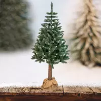Choinka świerk na pniu BK 220 cm