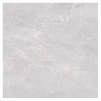 Gres Trento Gris  60/60