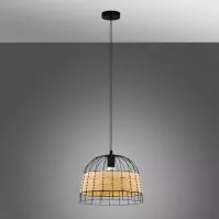 Lampa Anwick 43311 LW1