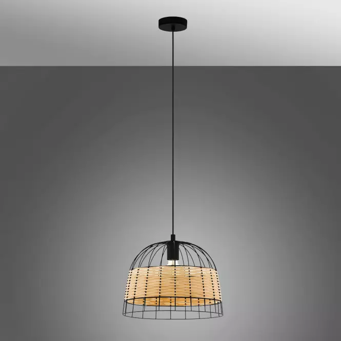 Lampa Anwick 43311 LW1