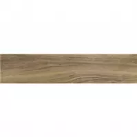 Gres Long MDE 91 19,5/119,5