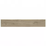 Gres Long MDE 92 19,5/119,5