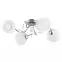 Lampa Livia Pro op. ośw. 4 PŁ 28524 LW4,2