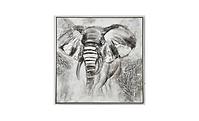 Obraz na płótnie z ramą w kształcie słonia 102,5x102,5cm