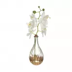 Orchidea w wazonie 40cm więcej kolorów