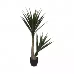 Roślina w doniczce Yucca H130cm