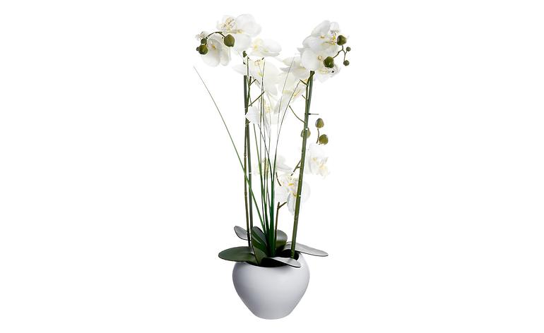 Orchidea w doniczce 53cm biała
