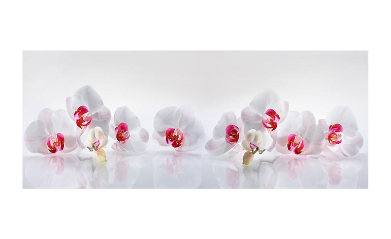 Obraz na szkle Orchidea 125x50cm