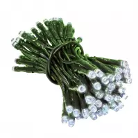 Lampki LED 100l Wew. Cool White 6/10/LED/Cw