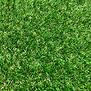 Sztuczna trawa 4M Giardino