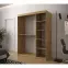 Szafa Heksagon 2 150 dąb artisan/biały/lustro,4
