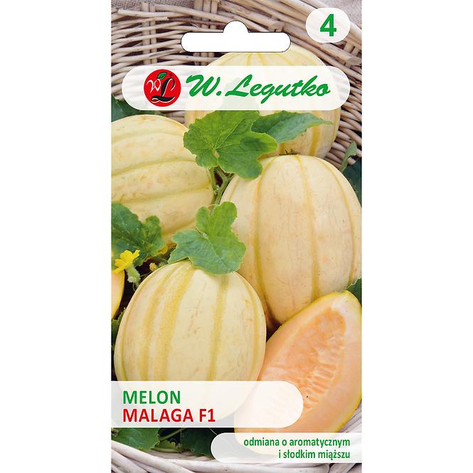 Melon Malaga F1 - miąższ (C) pomarańczowy