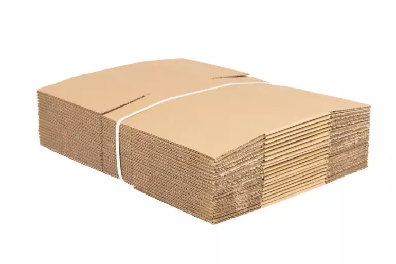 Karton Klapowy 310mm x 220mm x 150mm