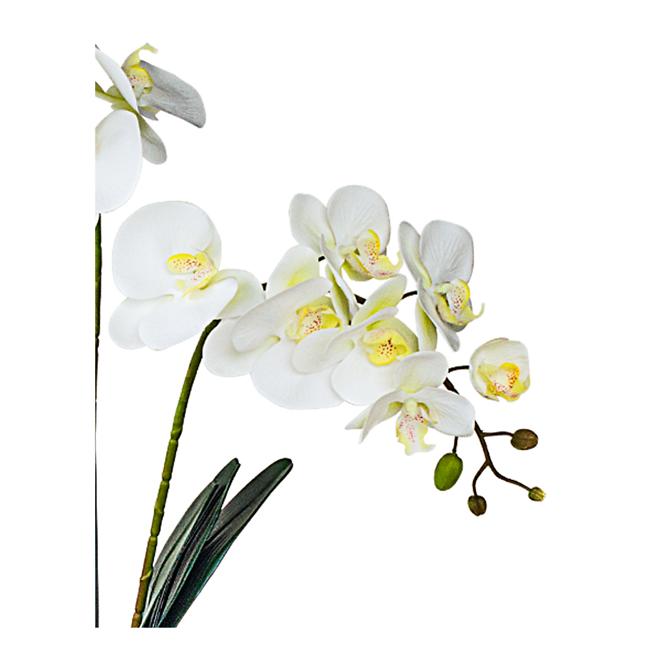 Sztuczny storczyk premium 18 kwiatów 80 cm