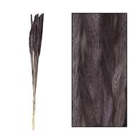 Sztuczna trawa pampasowa czarna 65-75 cm