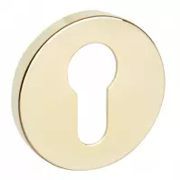 Szyld R68F WB złoty PVD