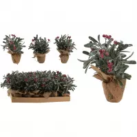 Kwiat w doniczce 23 cm red 317903220