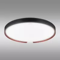 Plafon ESPERANTO LED C 24W SMART WI-FI 04076 PL1