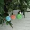 Lampa solarna RING RGB EKO0585,4