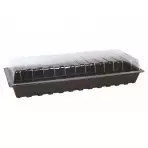 Miniszklarenka 60X22 z przykryciem