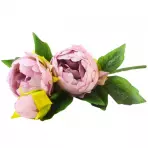 Bukiet Peonia 37cm fioletowy A2150067