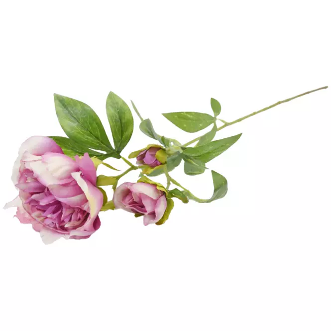 Peonia 59cm cyclamowy A2010574