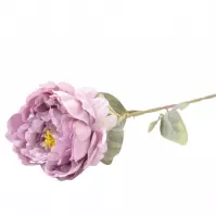 Peonia 74cm liliowy A2010682