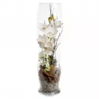 Storczyk sz00936 szer 16cm wys 55cm