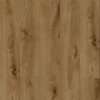 Panele podłogowe Dąb Goldrush Choco 8mm AC4 H003