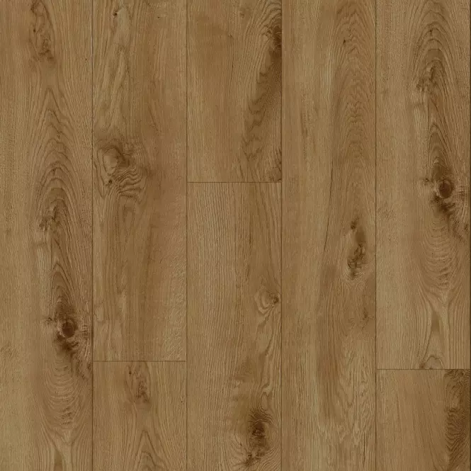Panele podłogowe Dąb Goldrush Choco 8mm AC4 H003