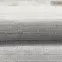 Dywan Harmony 1,6/2,3 05026A 24 kremowy ,8
