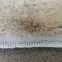 Dywan Rabbit Fur Timmy-F 1,2/1,8 Tfc3 beżowy      ,5