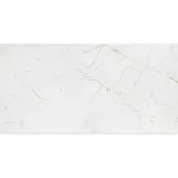 Rainforest White Gloss 59,8/119,8                      