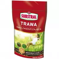 Trawa samozagęszczająca  do dosiewek 250g