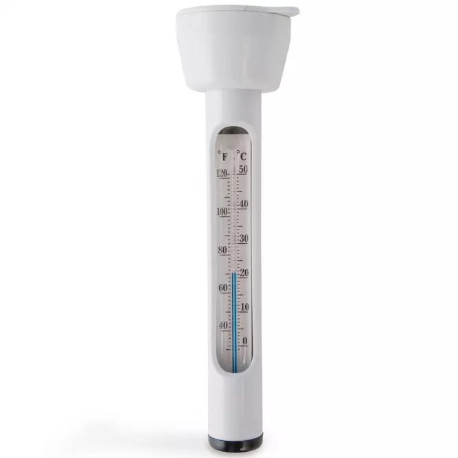 Termometr basenowy Intex 28093