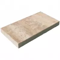 Płyta brukowa Lamos wapień muszlowy 60x30x5 cm