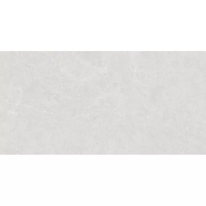 Gres Cardosia Ash Stark Rustic 60/120