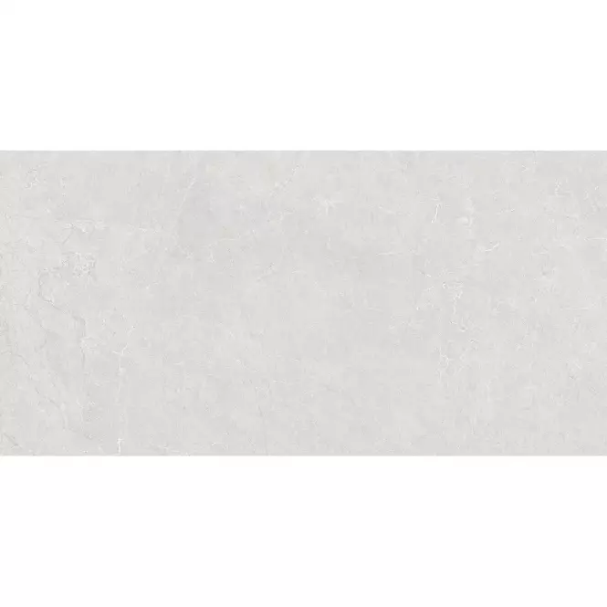 Gres Cardosia Ash Stark Rustic 60/120