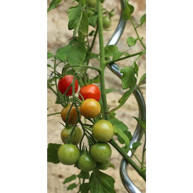 Tyczka do pomidorów MSR-6-180