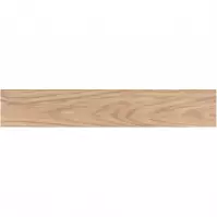 Gres Long LPT 1003 19,5/119,5